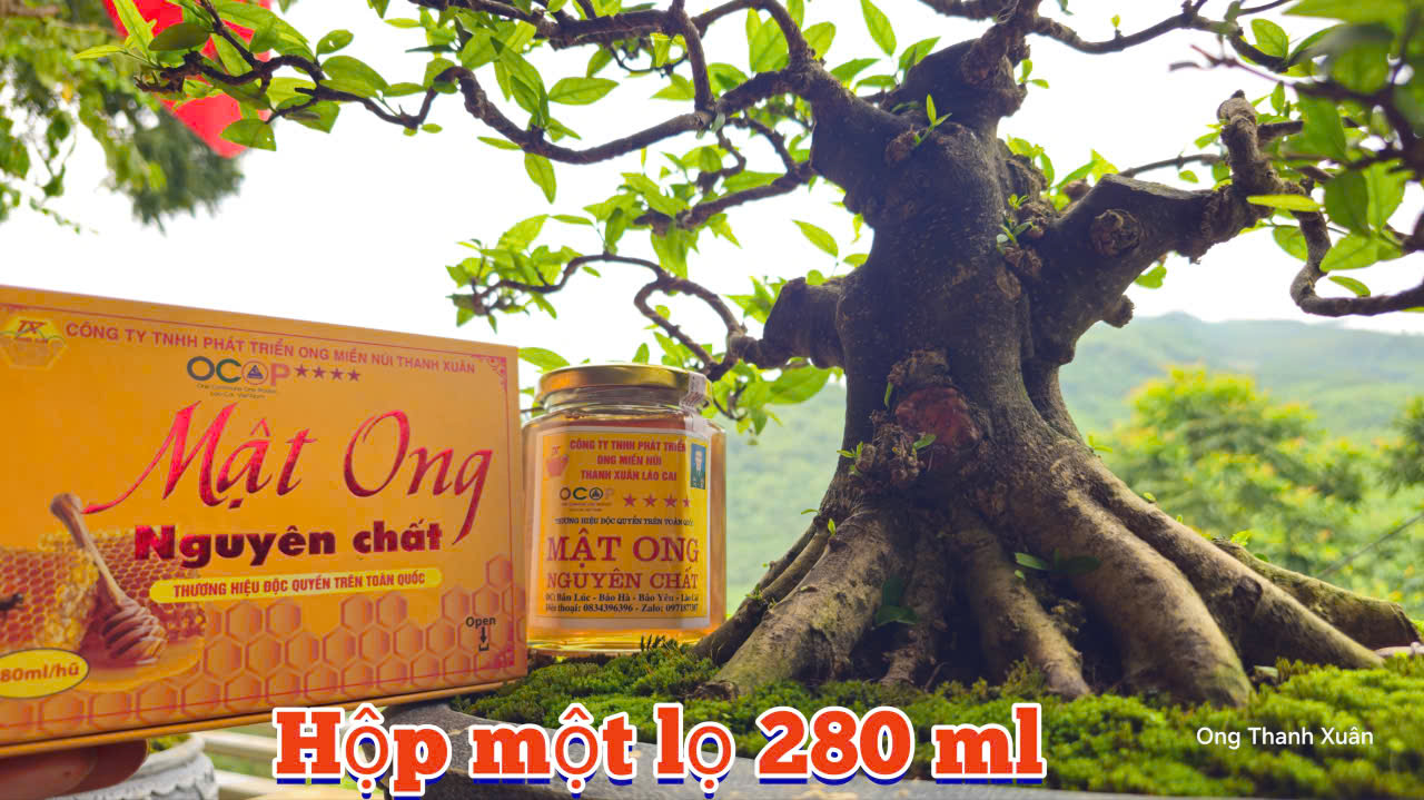 Mật ong nguyên chất Ong Núi Thanh Xuân