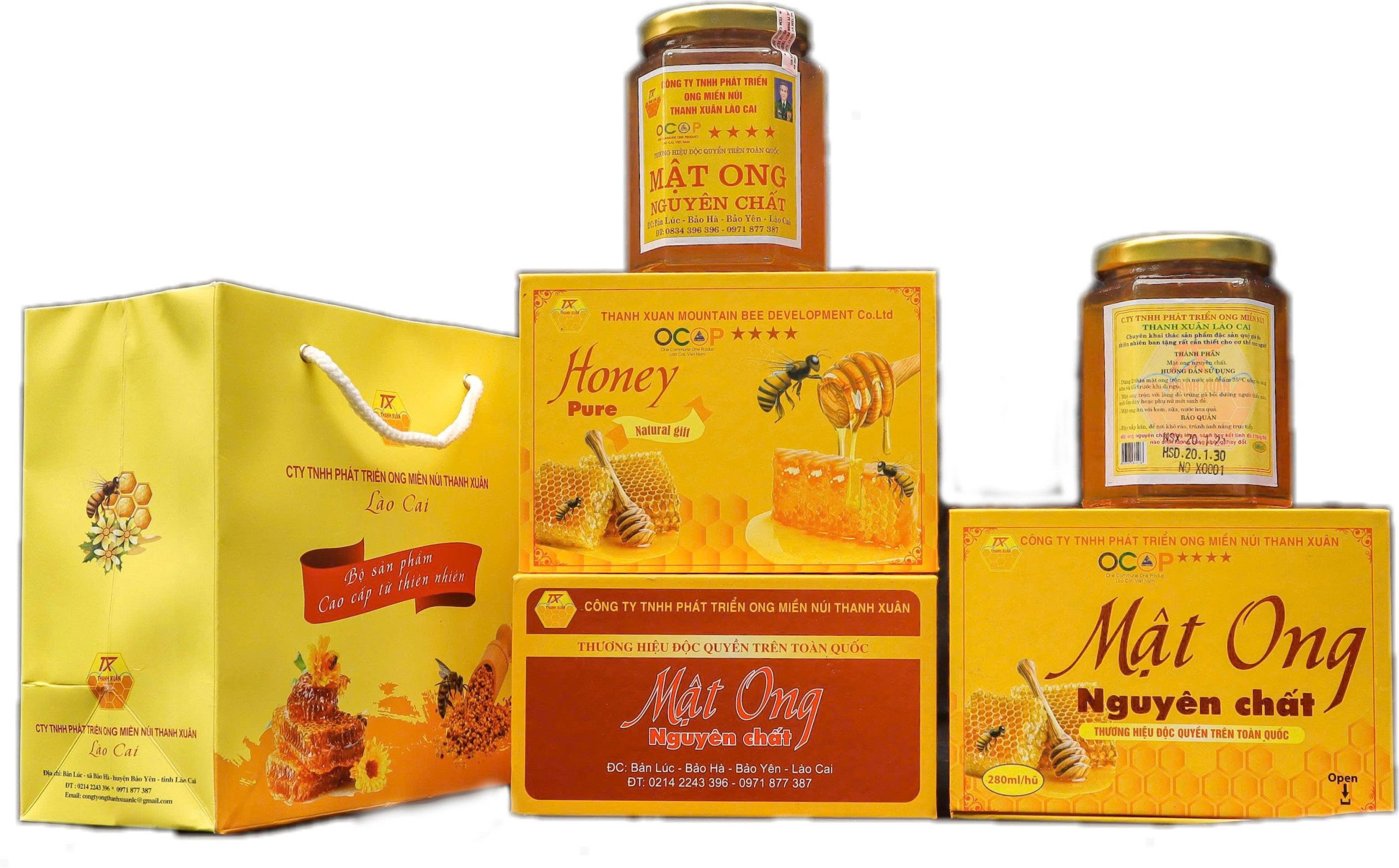 Mật ong nguyên chất Ong Núi Thanh Xuân