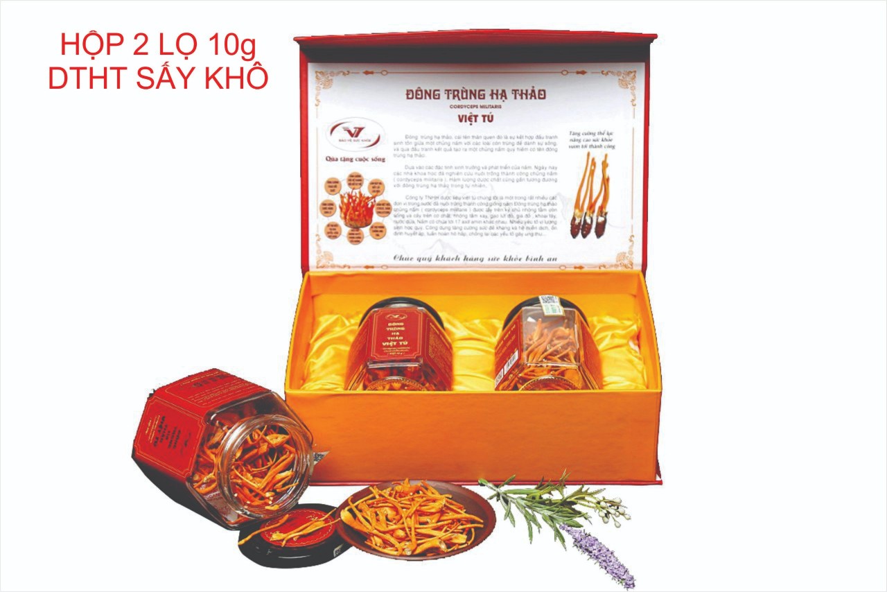 Đông trùng hạ thảo sấy khô Việt Tú