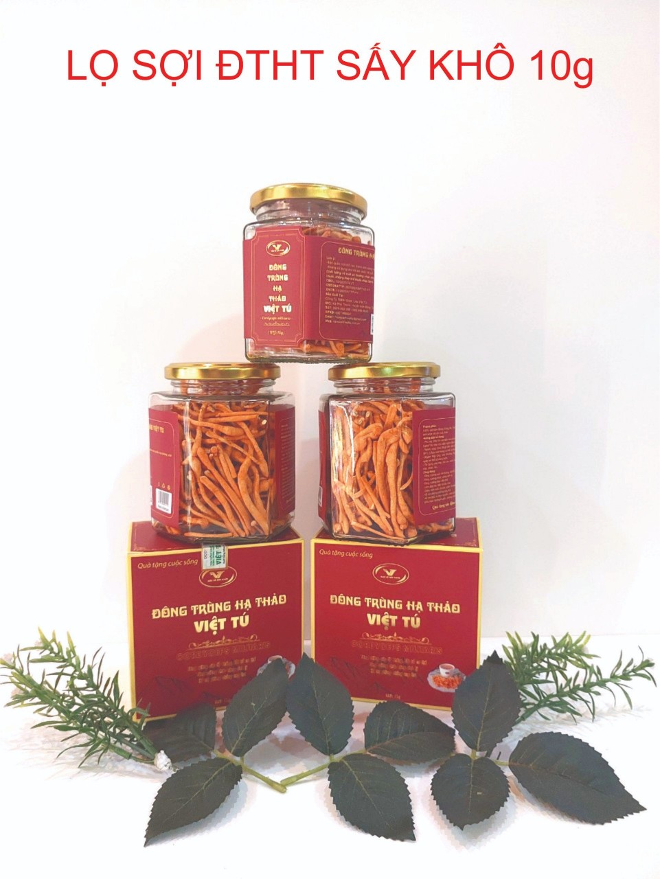 Đông trùng hạ thảo sấy khô Việt Tú